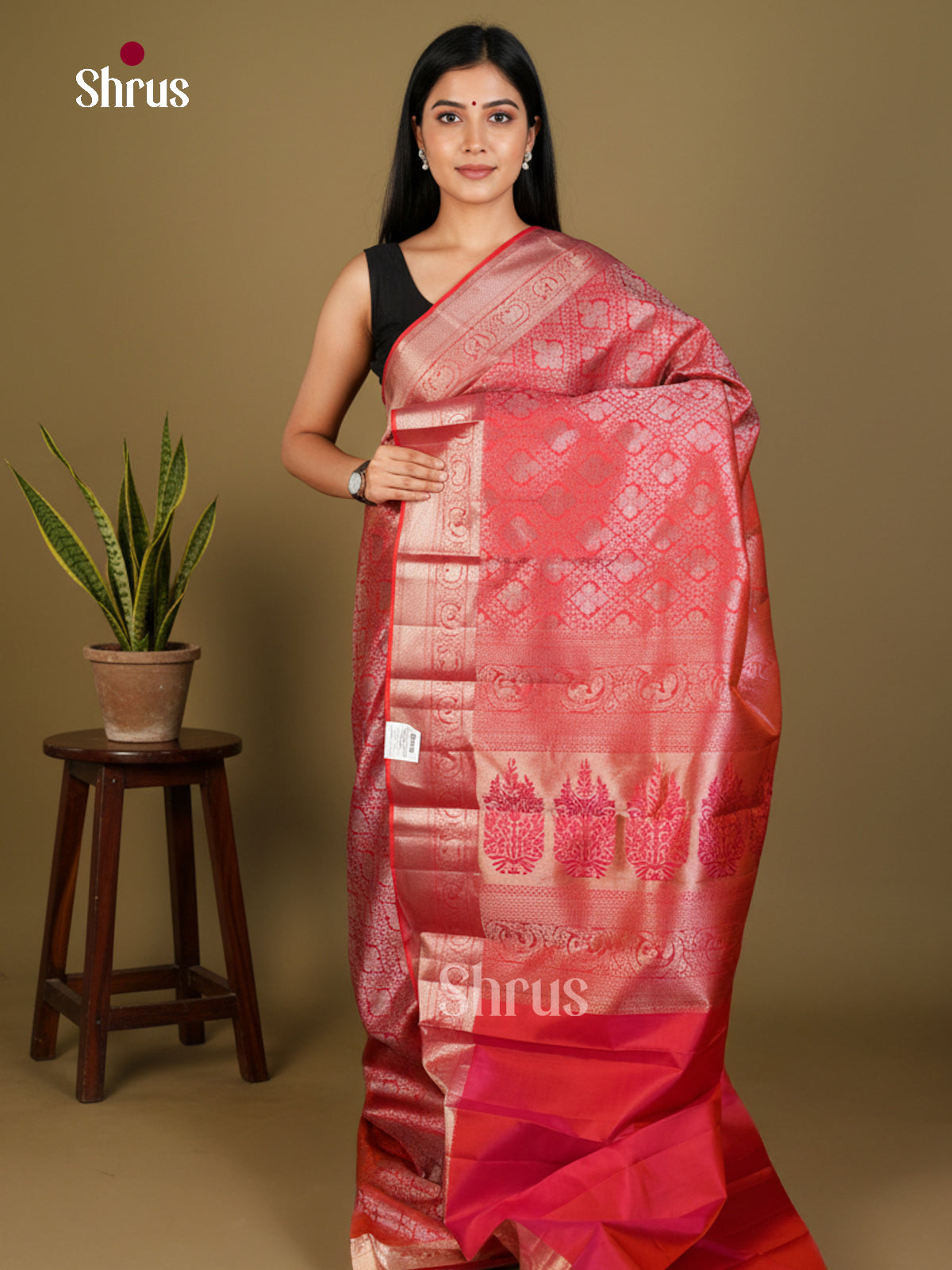 Kanchipuram silk Saree - EDS04164 - Shop on Shrus.com