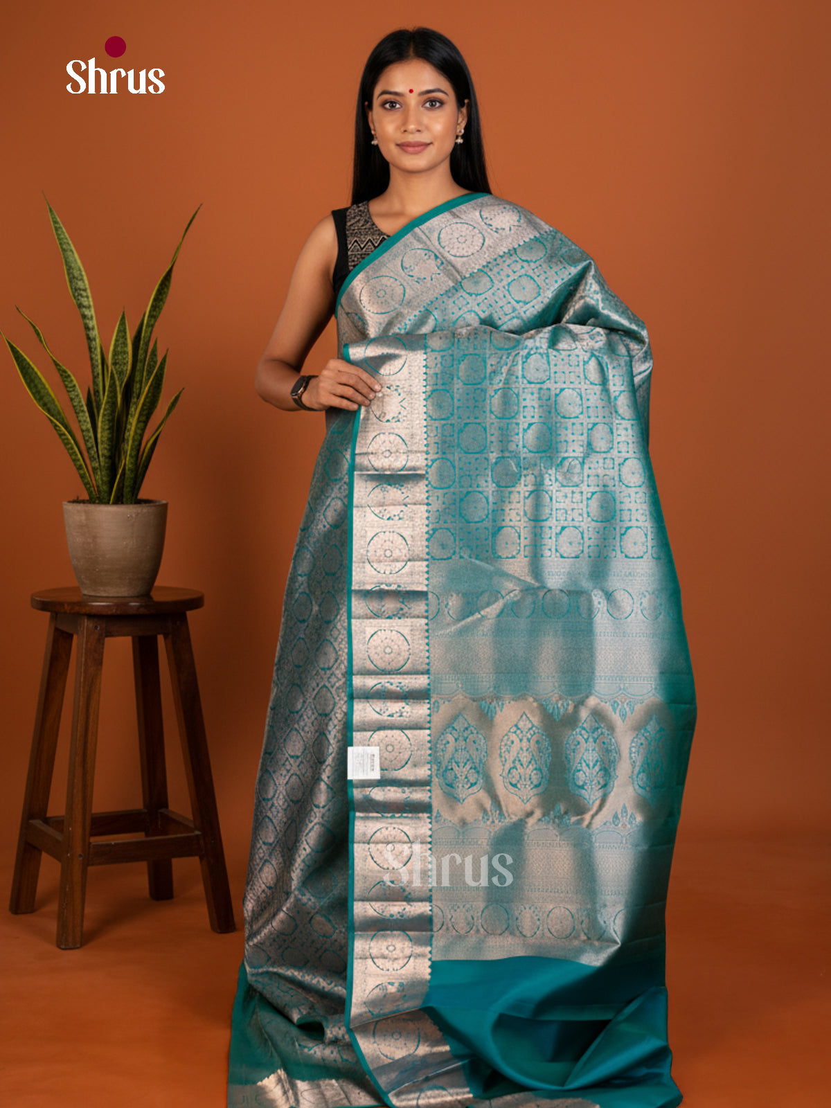 Kanchipuram silk Saree - EDS04182 - Shop on Shrus.com