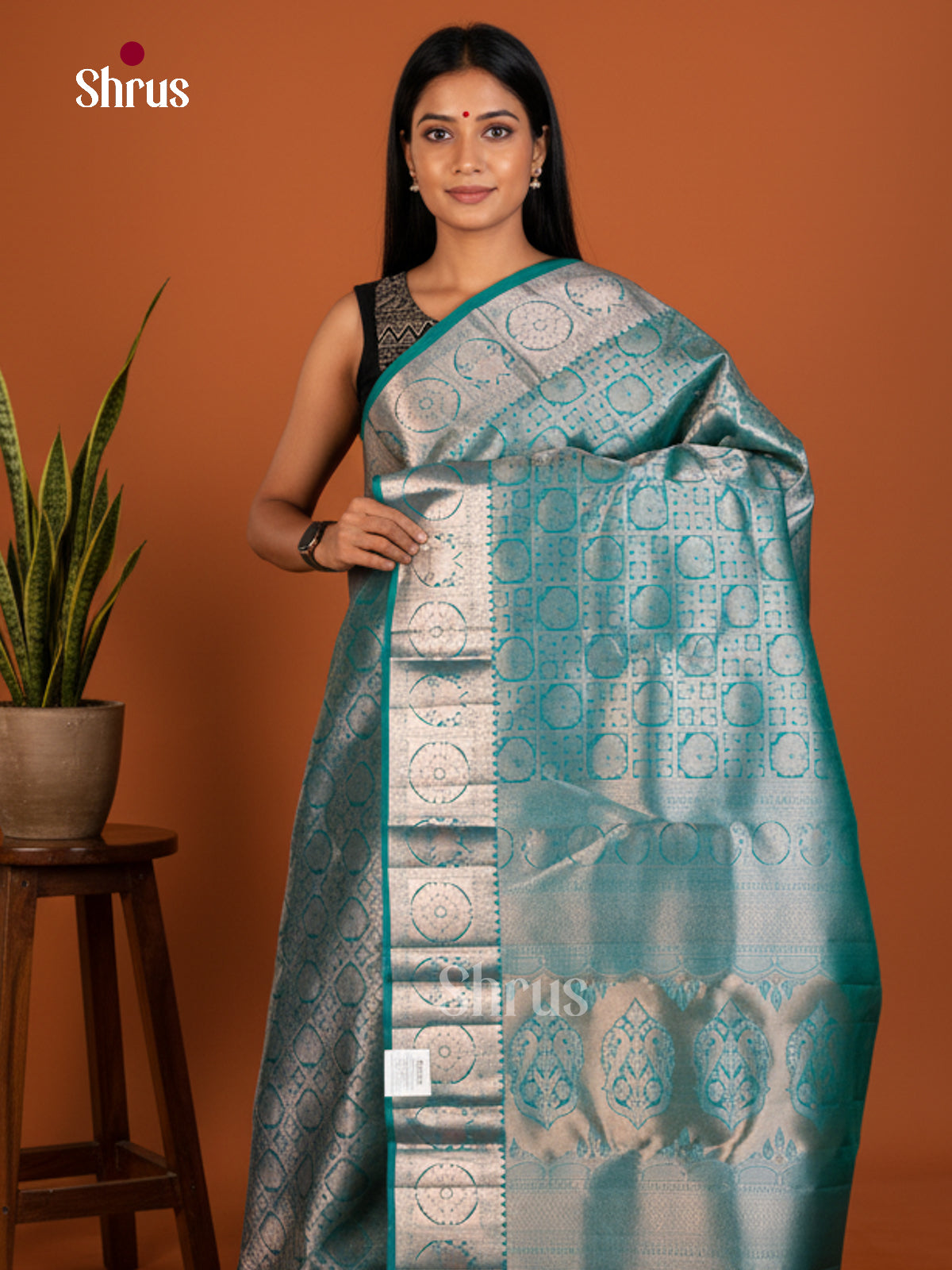 Kanchipuram silk Saree - EDS04182 - Shop on Shrus.com