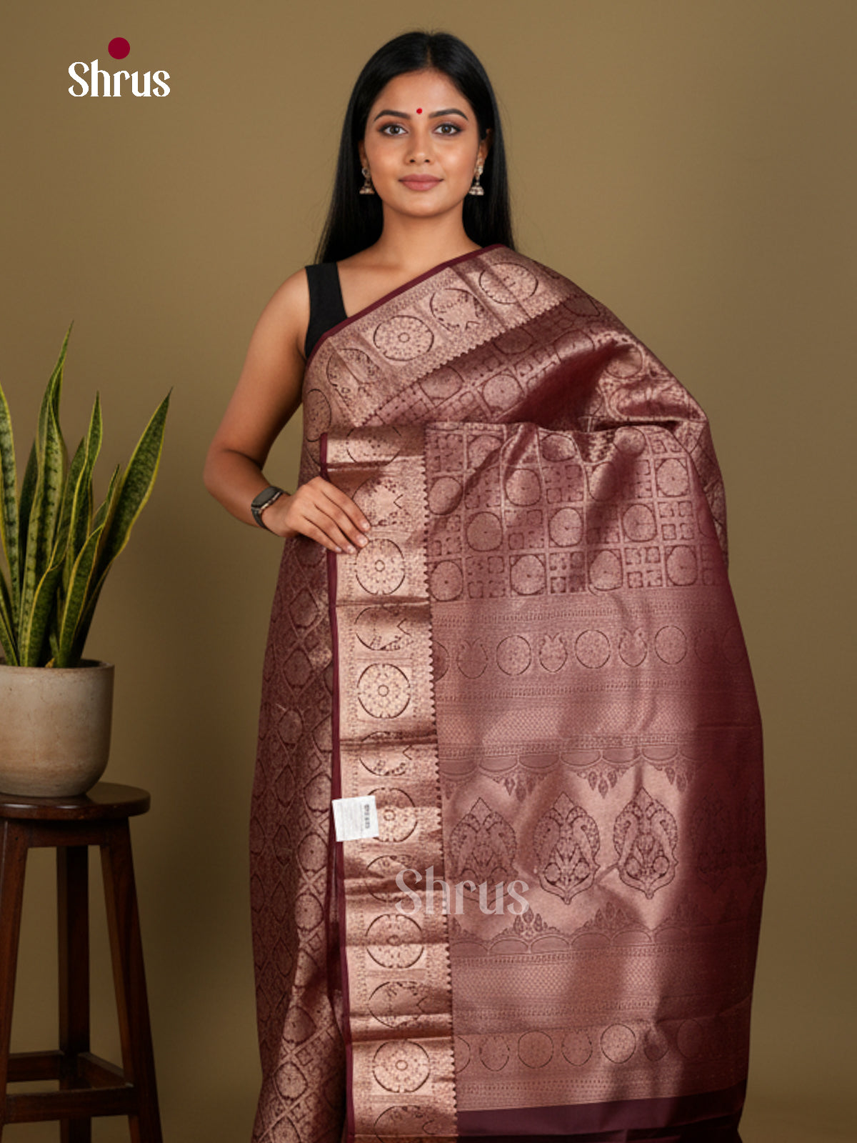 Kanchipuram silk Saree - EDS04187 - Shop on Shrus.com