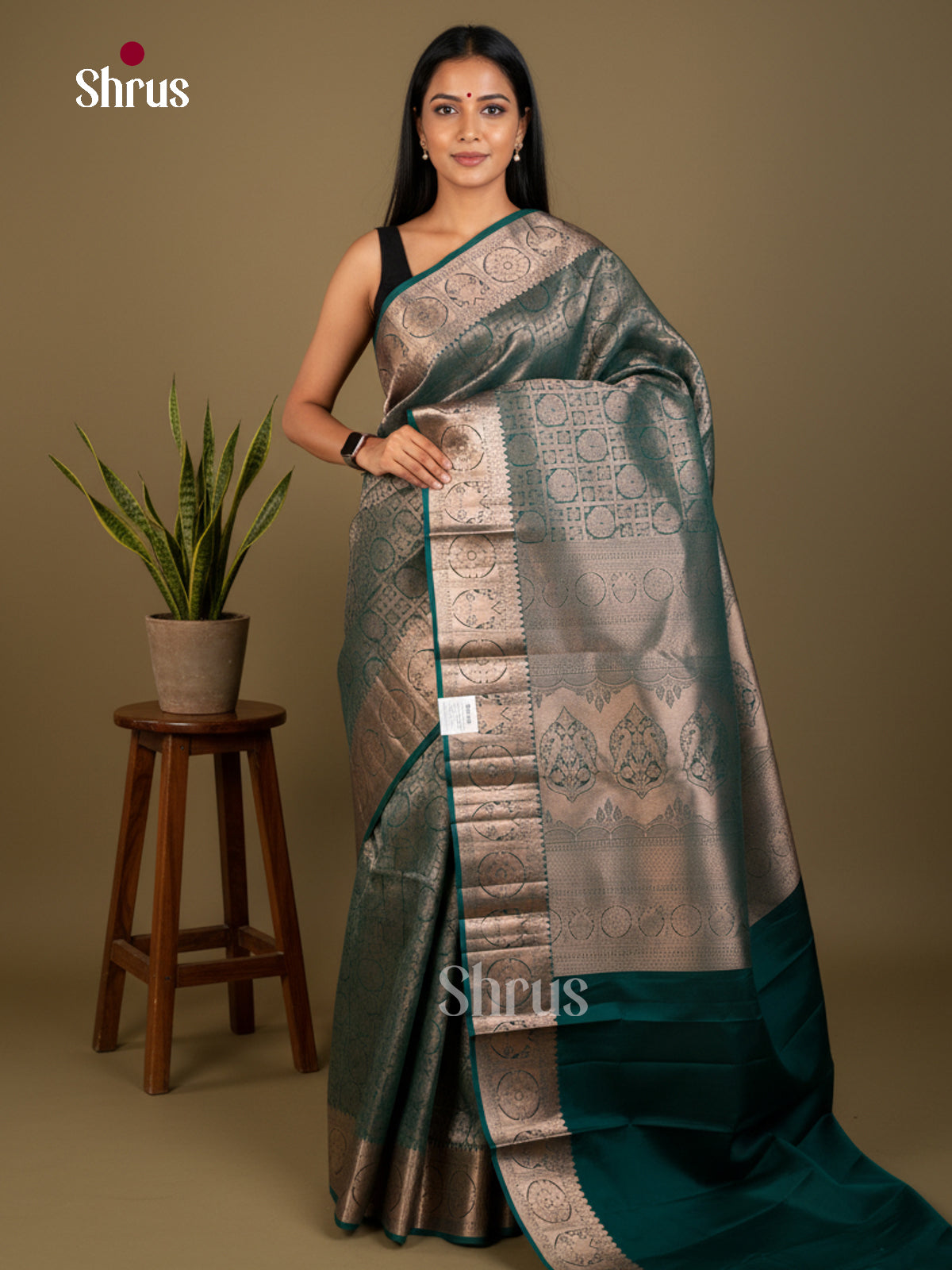 Kanchipuram silk Saree - EDS04189 - Shop on Shrus.com