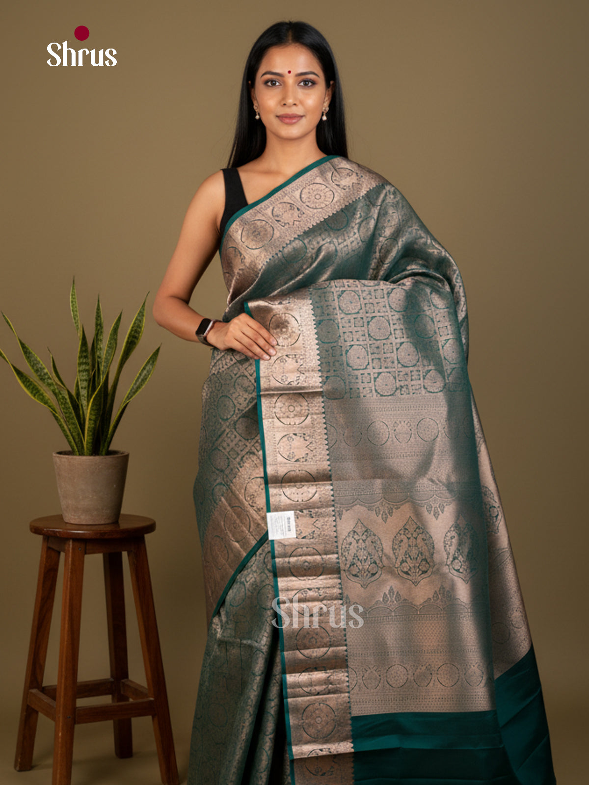 Kanchipuram silk Saree - EDS04189 - Shop on Shrus.com