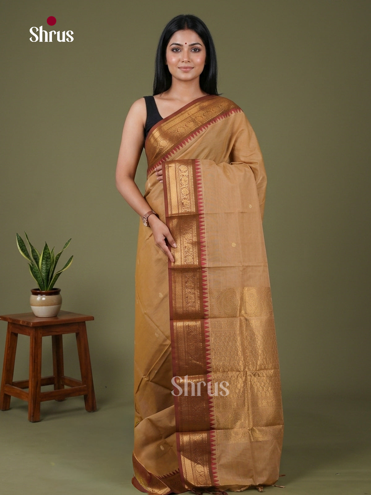 Chettinad Cotton Saree - EDS10010