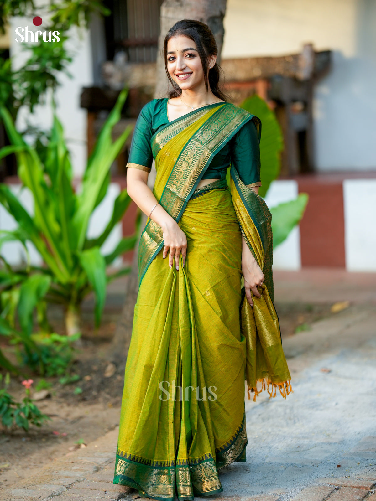 11-a Chettinad Cotton Saree - EDS10014 - Shop on Shrus.com