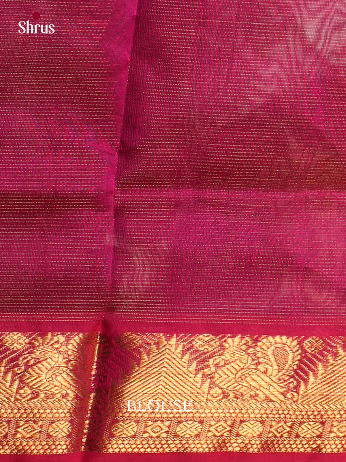 Silk Cotton Saree - EDS10052 - Shop on Shrus.com