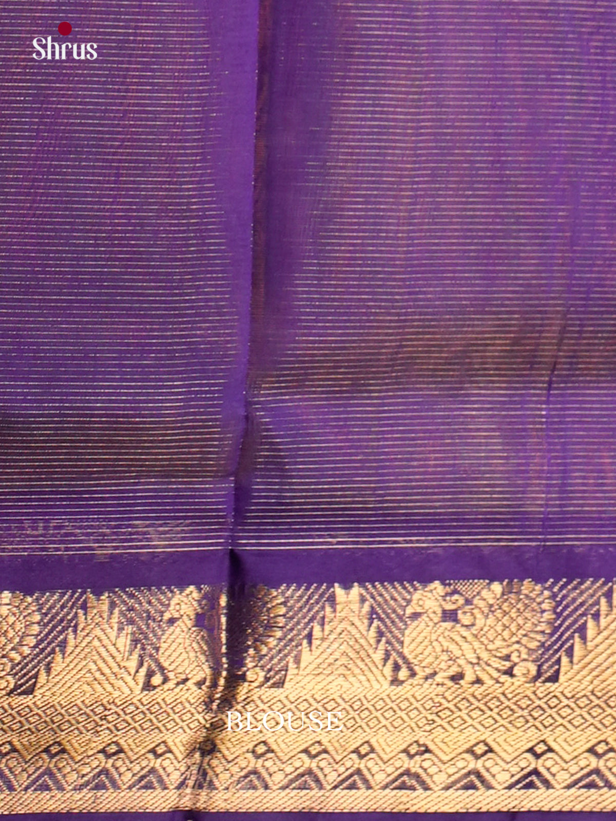 Silk Cotton Saree - EDS10060 - Shop on Shrus.com