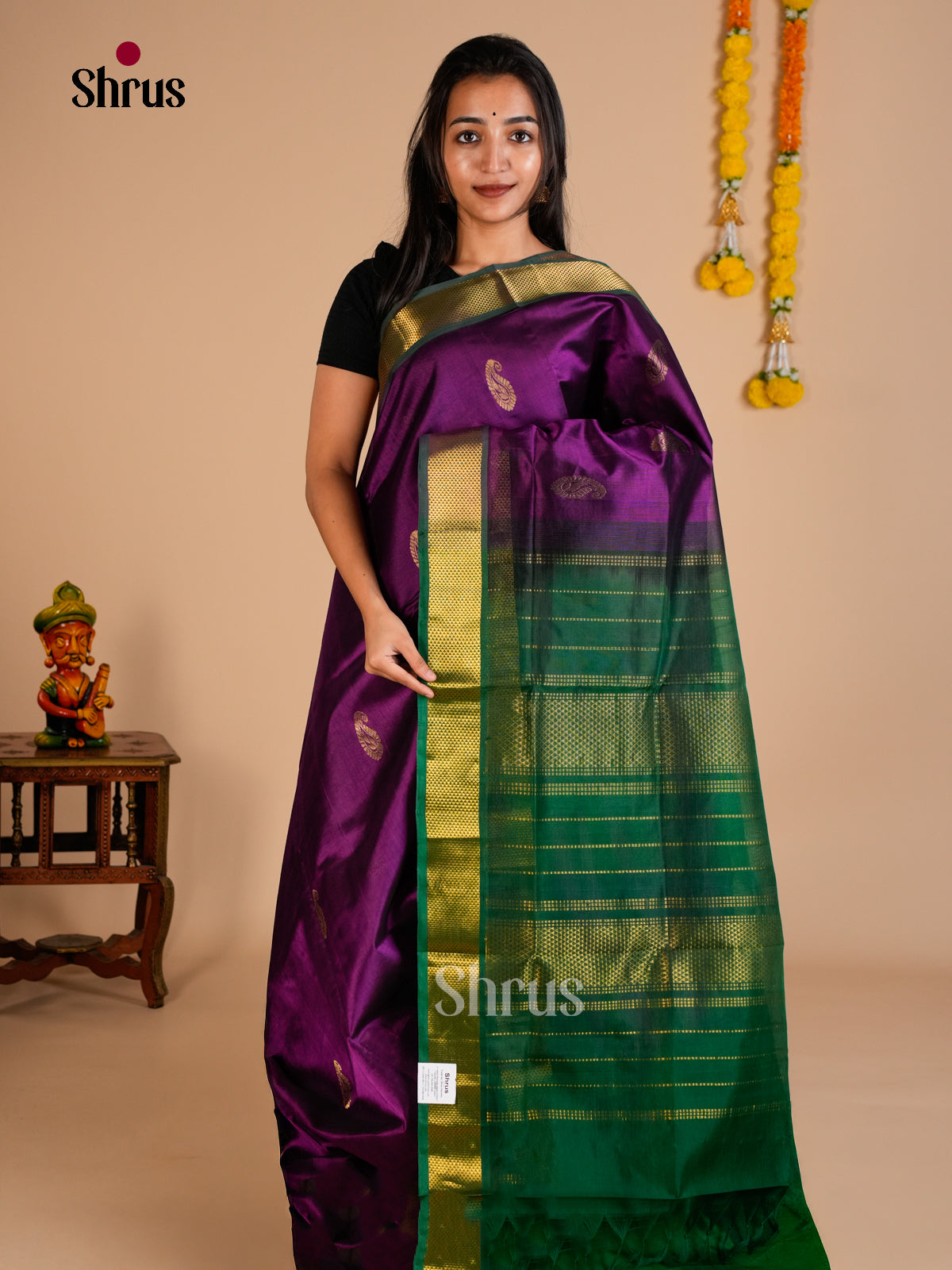 Silk Cotton Saree - EDS10062 - Shop on Shrus.com