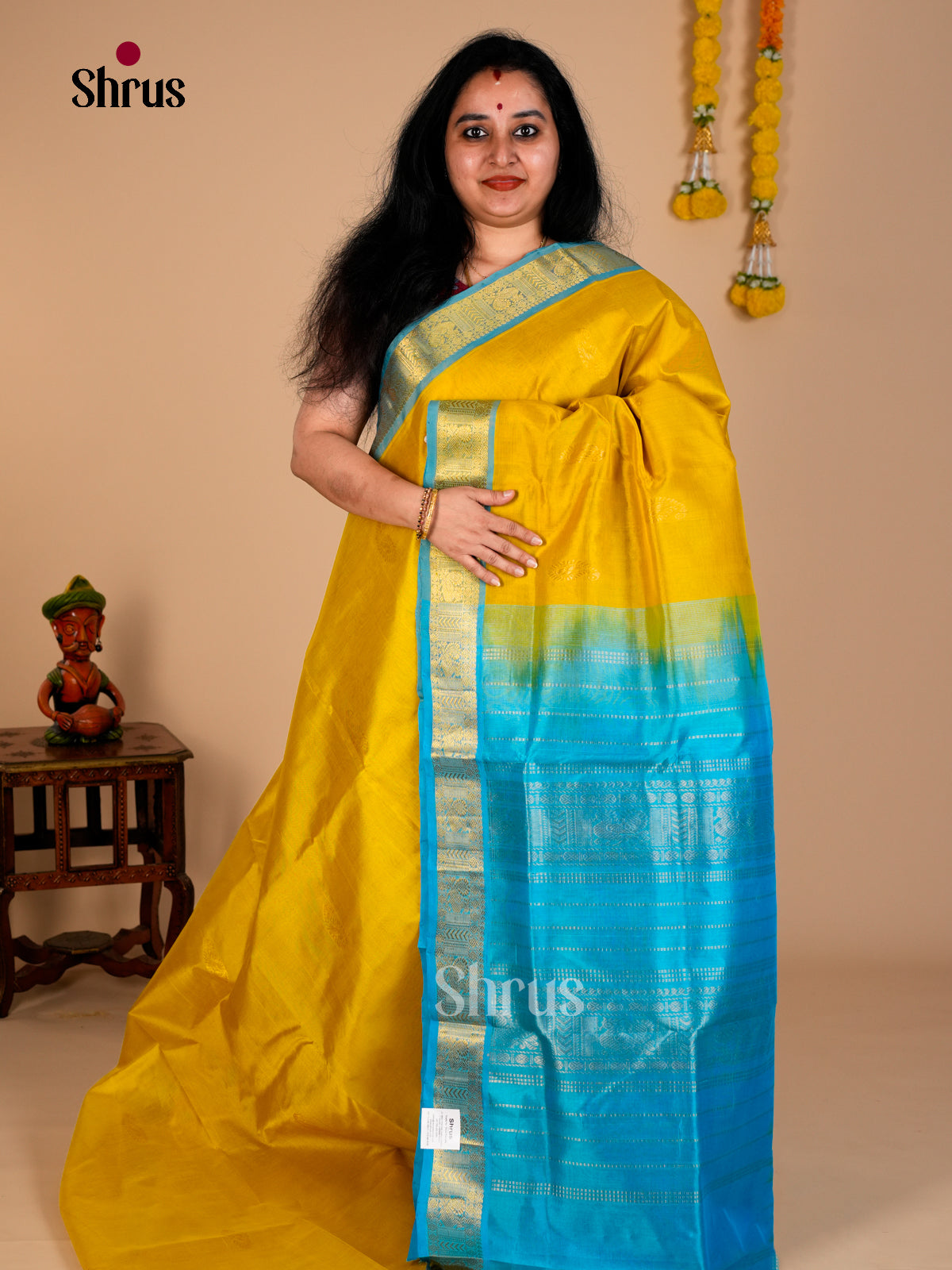 Silk Cotton Saree - EDS10063 - Shop on Shrus.com
