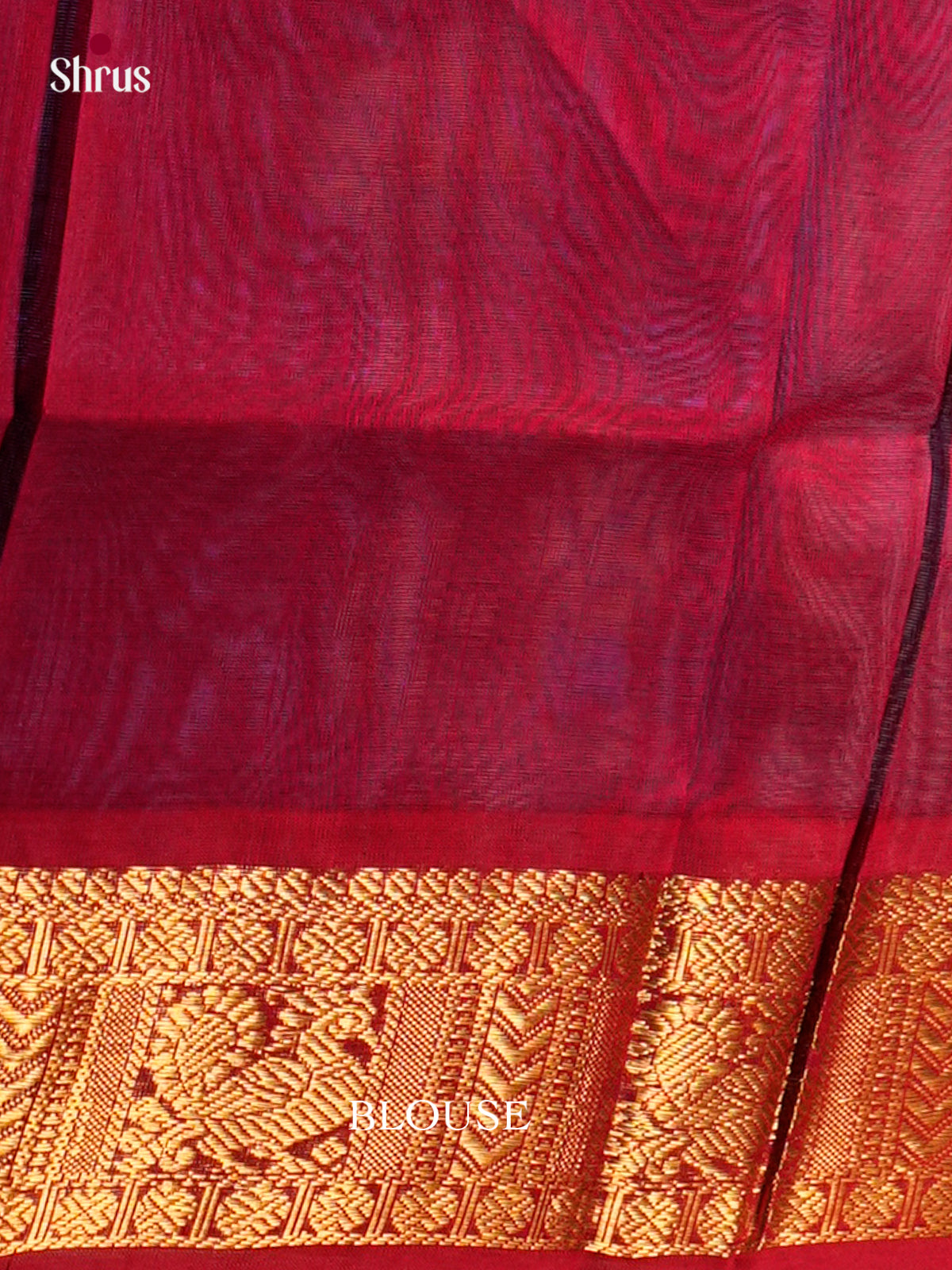 Silk Cotton Saree - EDS10067 - Shop on Shrus.com