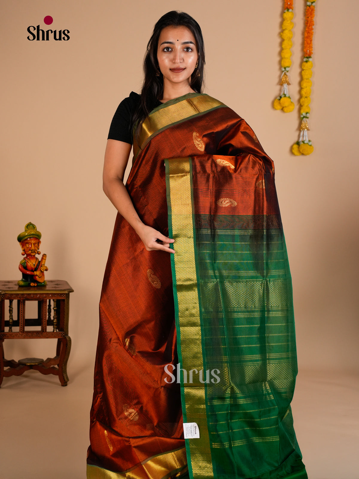 Silk Cotton Saree - EDS10069 - Shop on Shrus.com