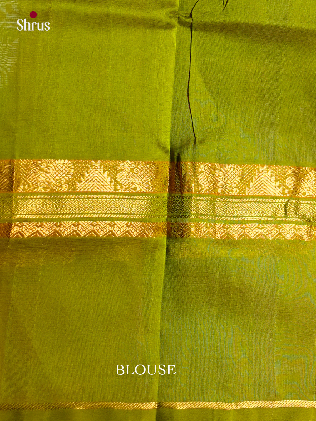 Silk Cotton Saree - EDS10086 - Shop on Shrus.com