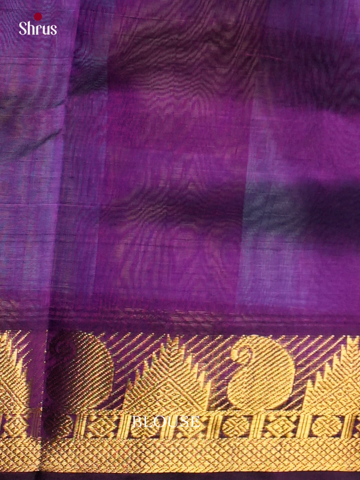 Silk Cotton Saree - EDS10093 - Shop on Shrus.com