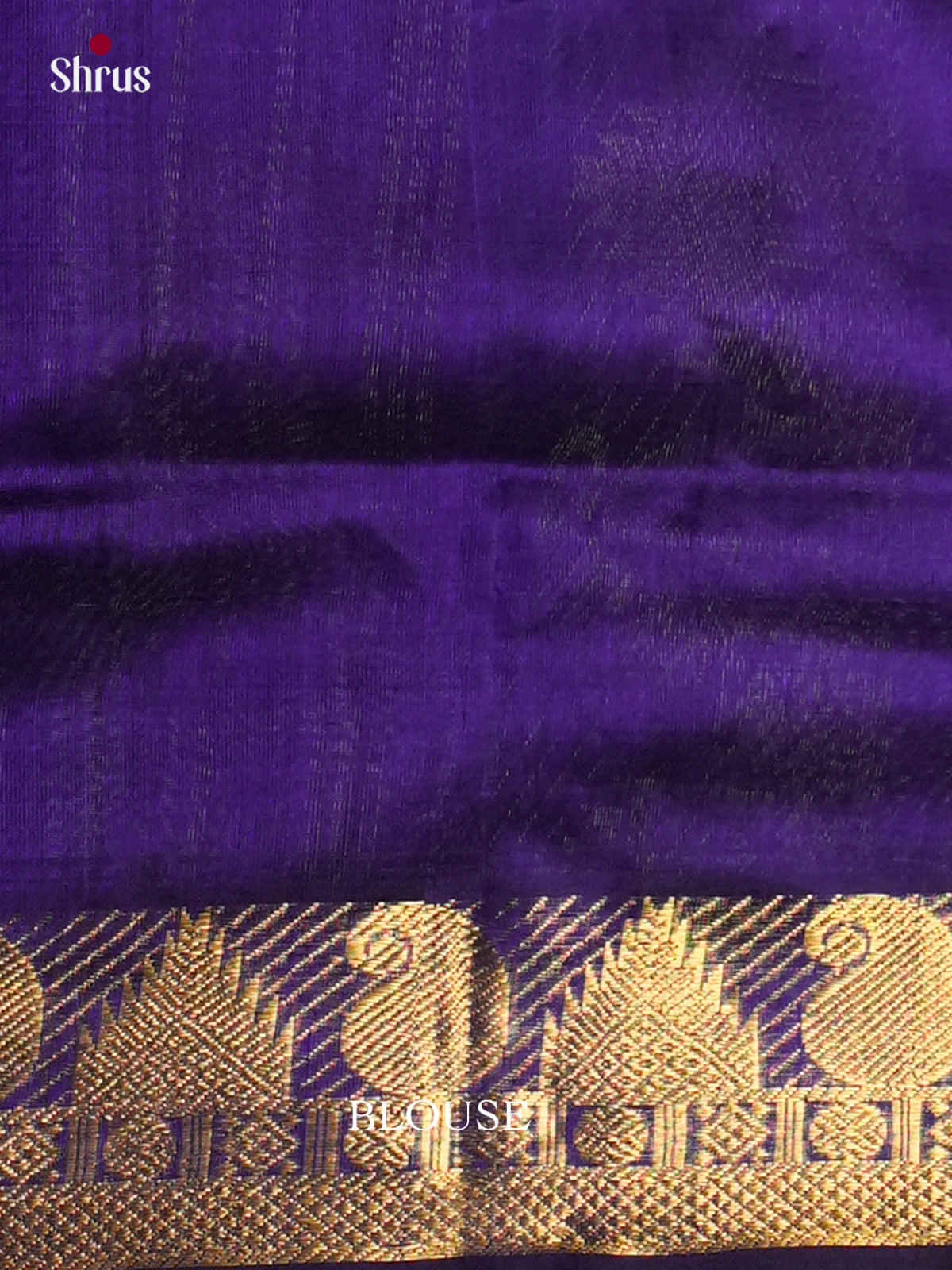 Silk Cotton Saree - EDS10096 - Shop on Shrus.com