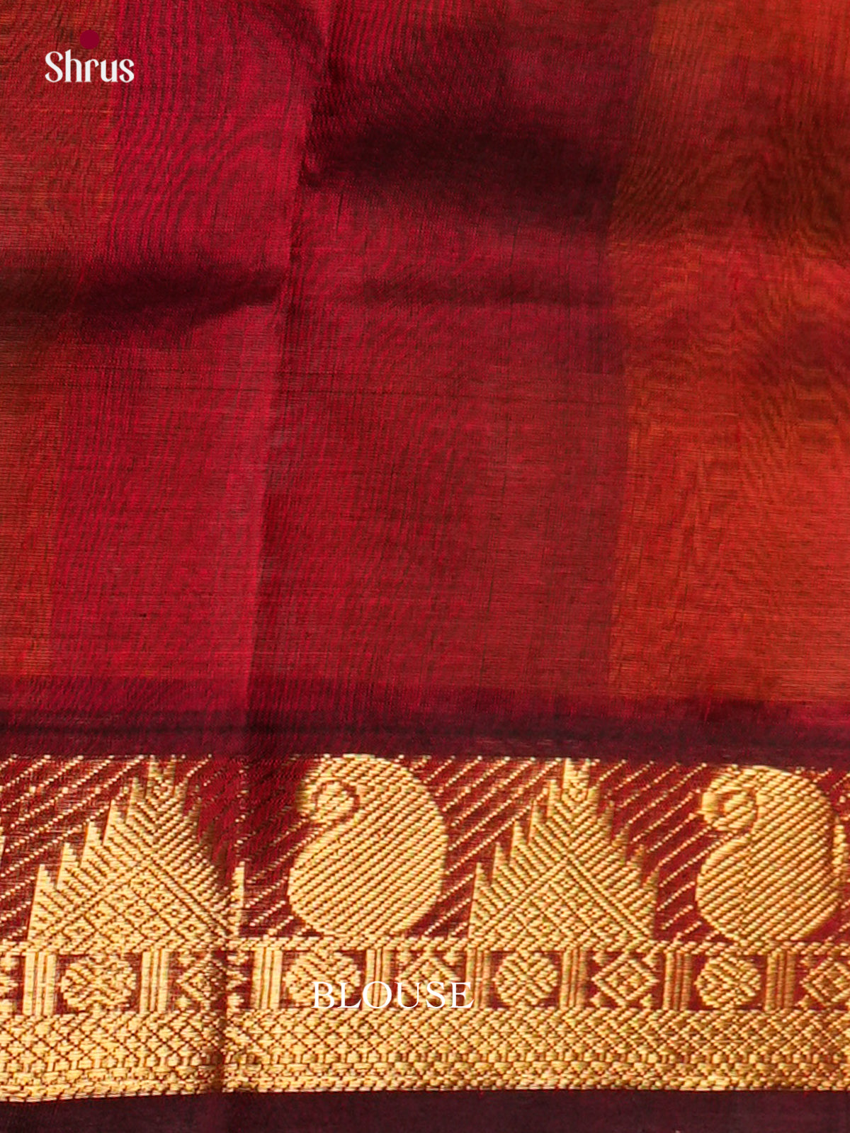 Silk Cotton Saree - EDS10098 - Shop on Shrus.com