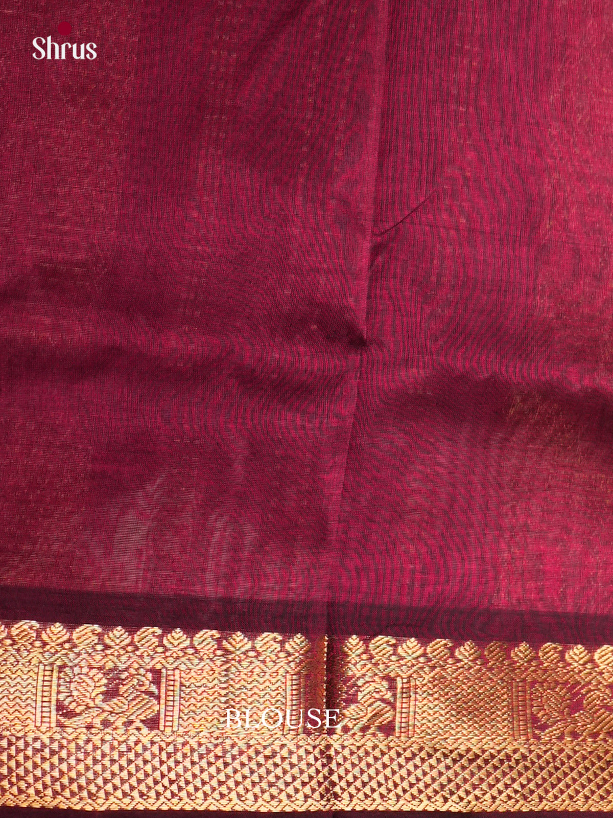 Silk Cotton Saree - EDS10105 - Shop on Shrus.com