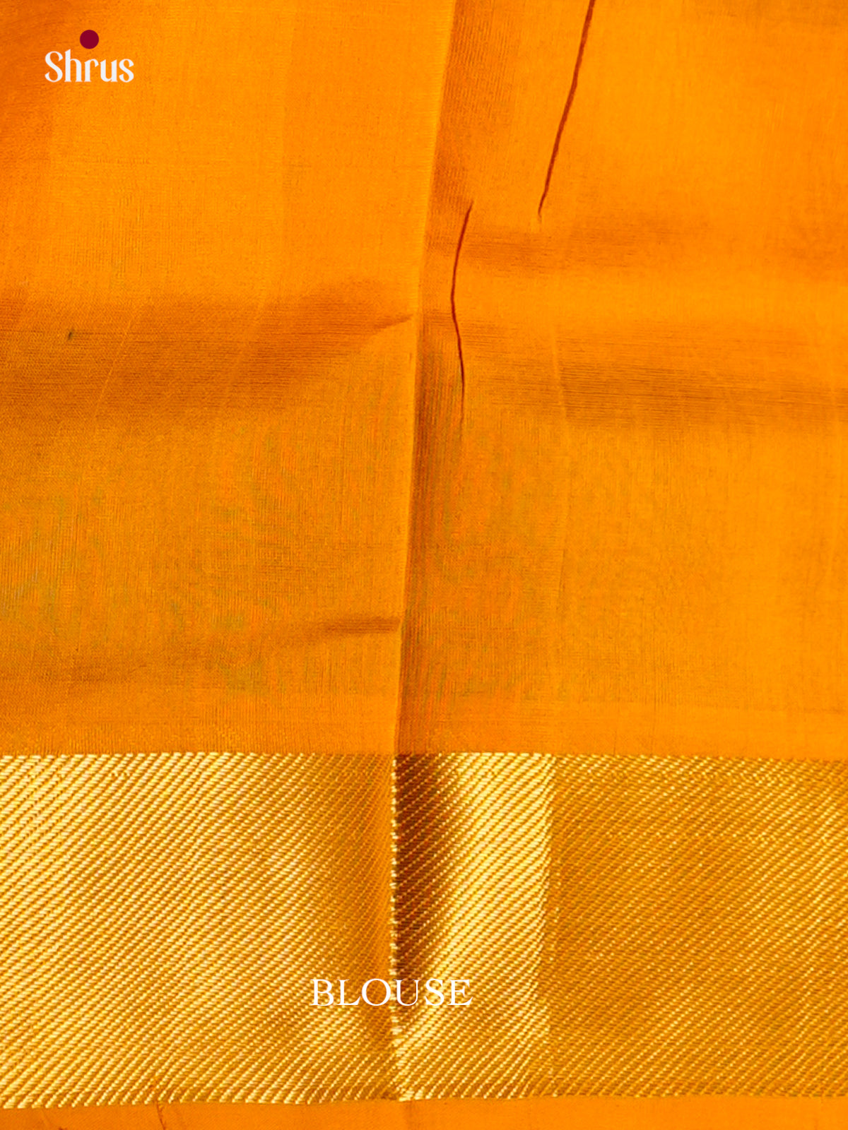 Silk Cotton Saree - EDS10111 - Shop on Shrus.com