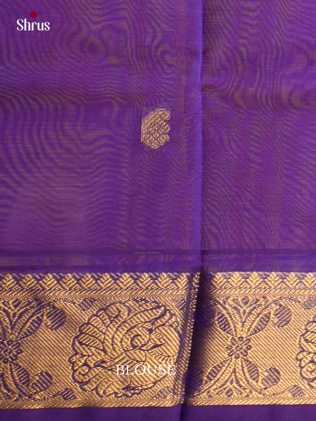 Silk Cotton Saree - EDS10116 - Shop on Shrus.com