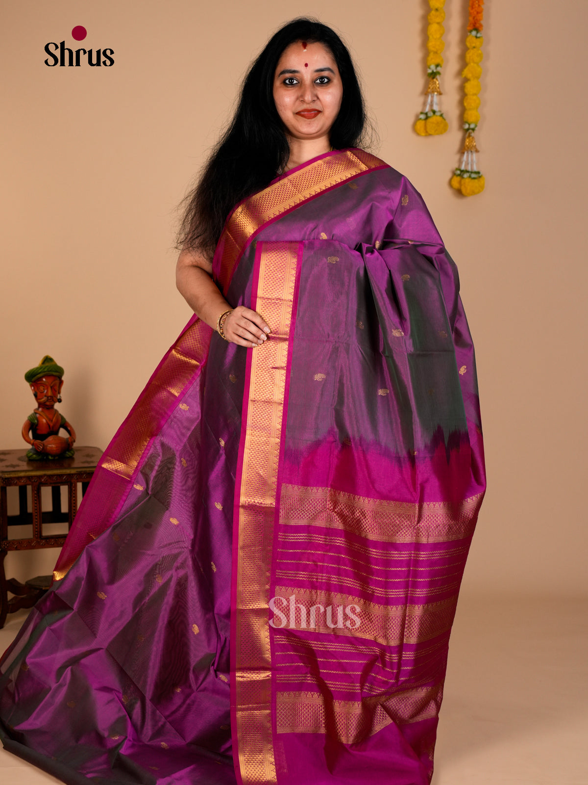 Silk Cotton Saree - EDS10127 - Shop on Shrus.com