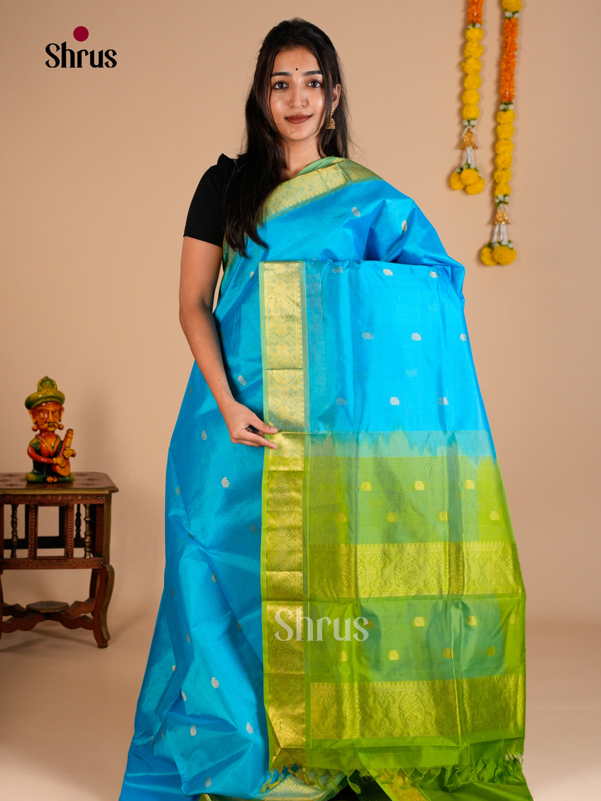 Silk Cotton Saree - EDS10135 - Shop on Shrus.com