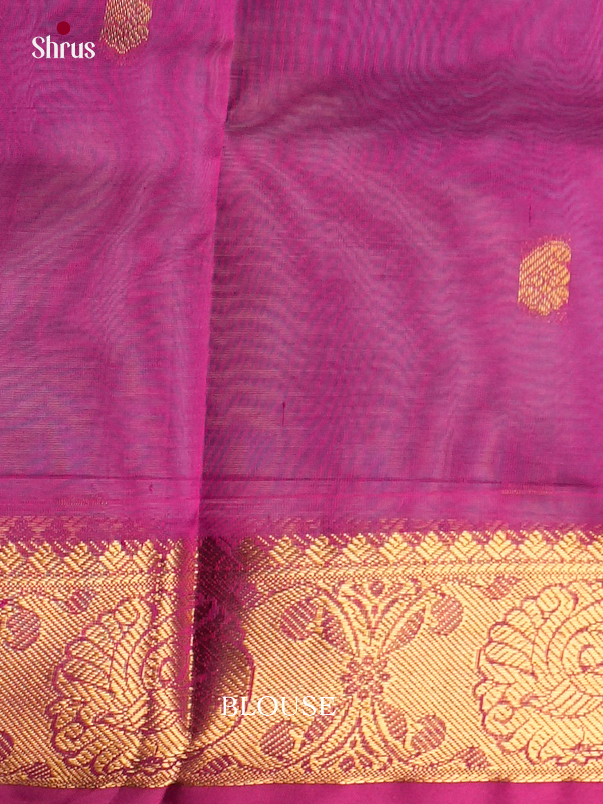 Silk Cotton Saree - EDS10136 - Shop on Shrus.com