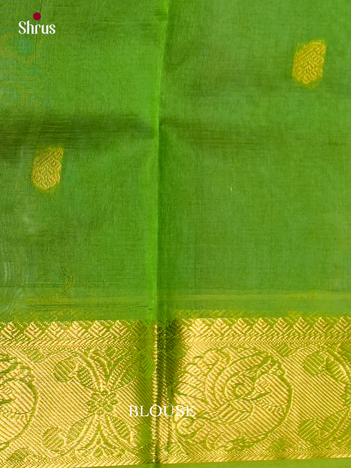 Silk Cotton Saree - EDS10138 - Shop on Shrus.com