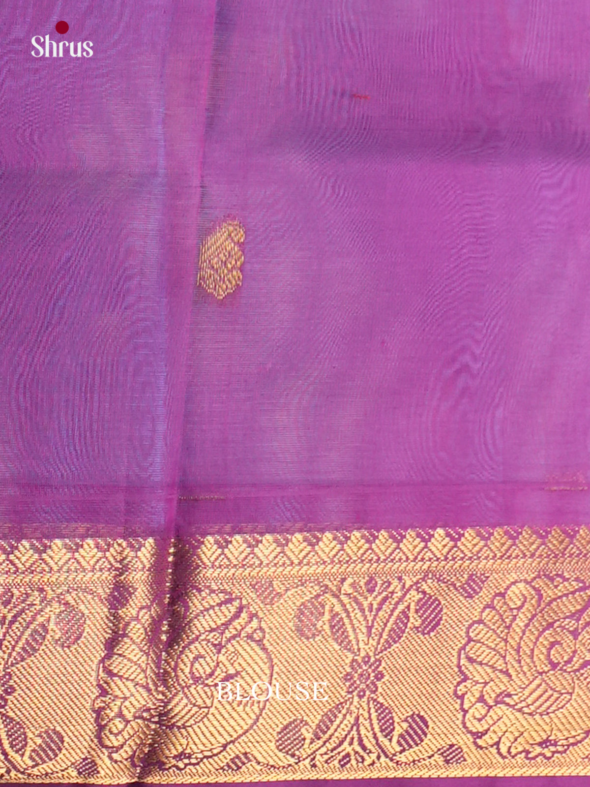 Silk Cotton Saree - EDS10141 - Shop on Shrus.com