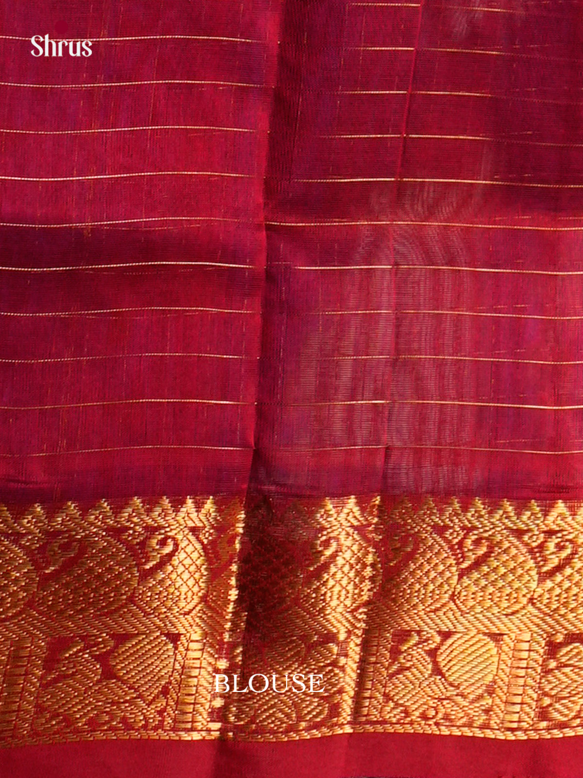 Silk Cotton Saree - EDS10148 - Shop on Shrus.com