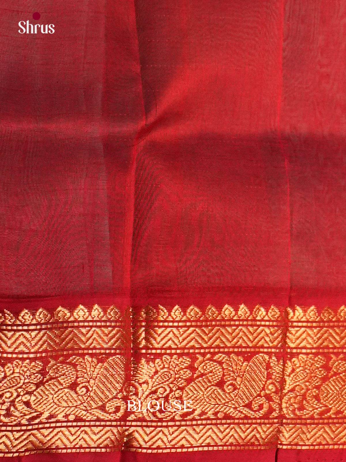 Silk Cotton Saree - EDS10157 - Shop on Shrus.com