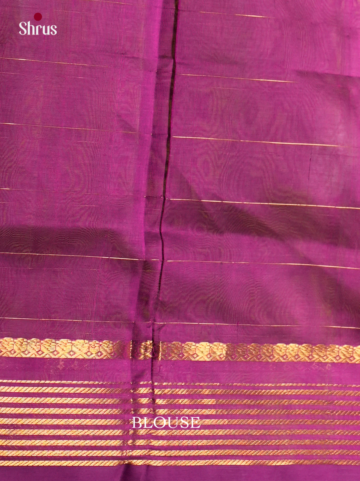 Silk Cotton Saree - EDS10160 - Shop on Shrus.com