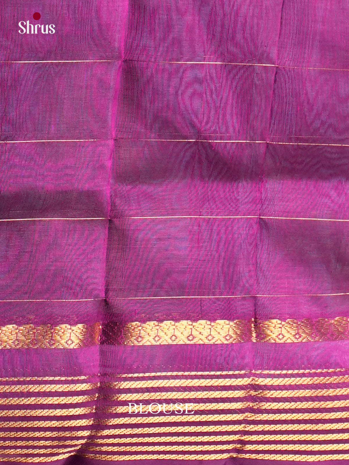 Silk Cotton Saree - EDS10161 - Shop on Shrus.com