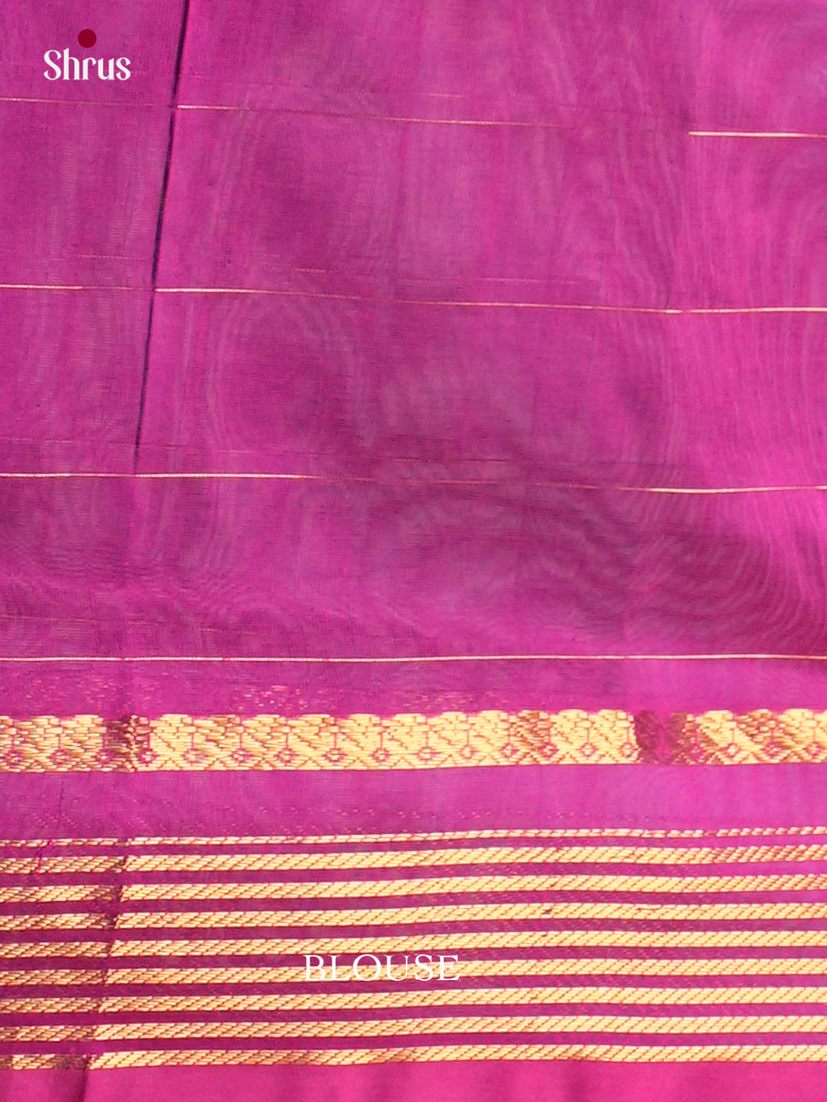 Silk Cotton Saree - EDS10164 - Shop on Shrus.com