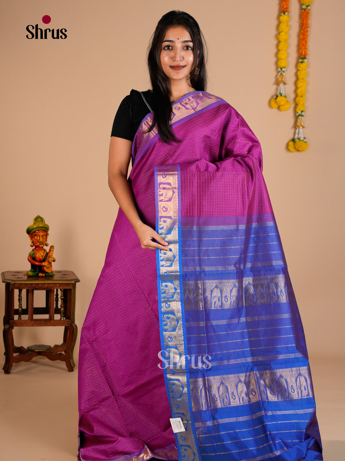 Silk Cotton Saree - EDS10189 - Shop on Shrus.com