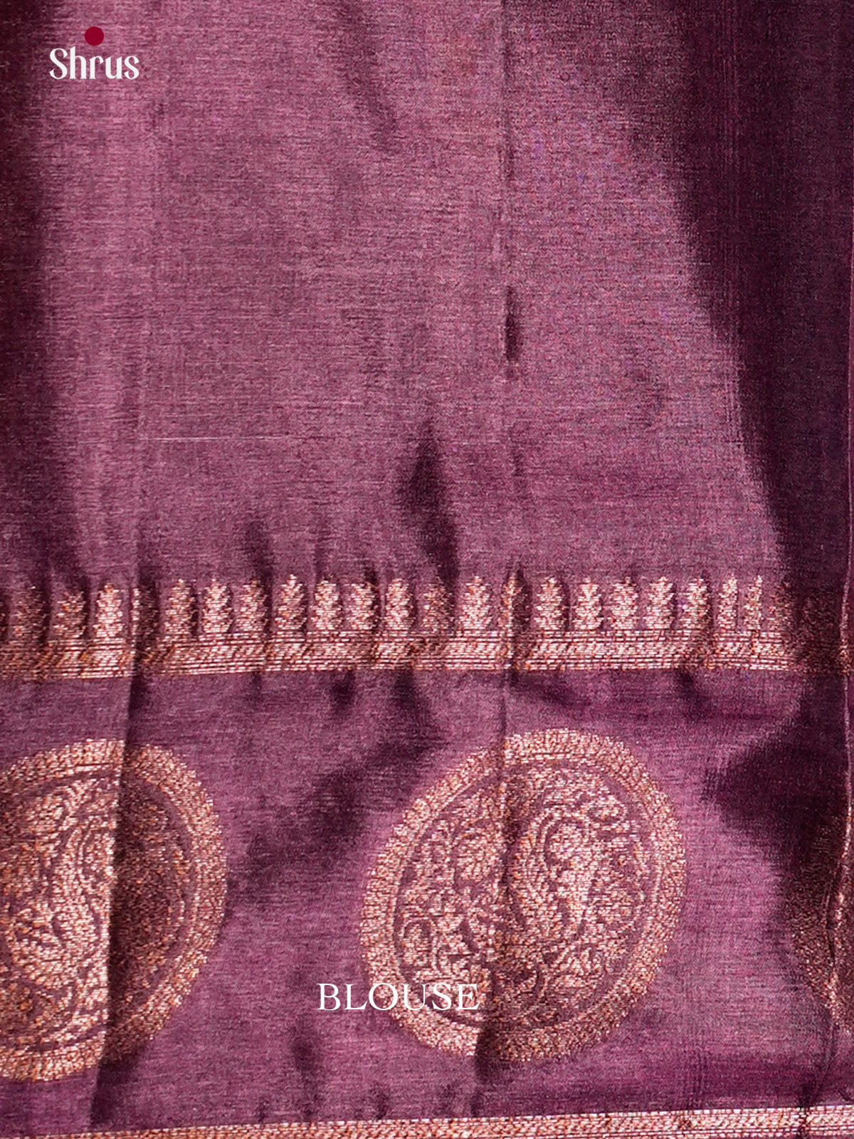 Tussar Saree - EDS18034 - Shop on Shrus.com