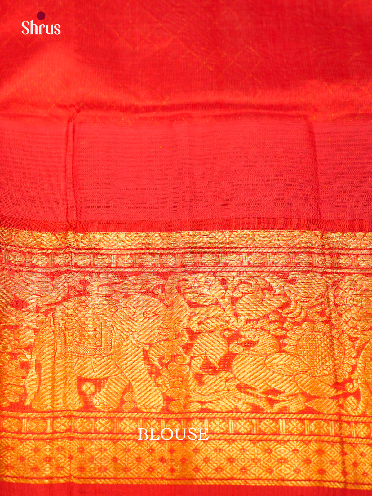 Silk Cotton Saree - EDS29006 - Shop on Shrus.com