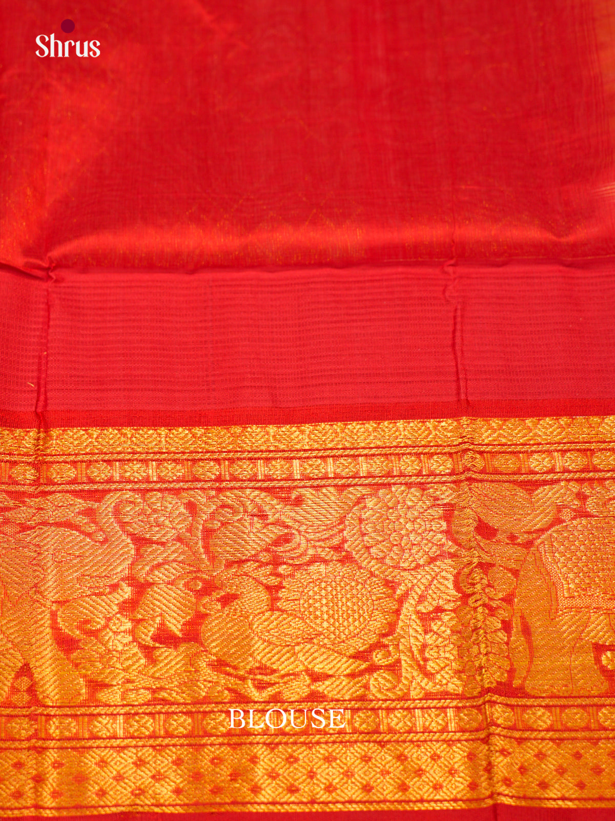 Silk Cotton Saree - EDS29016 - Shop on Shrus.com