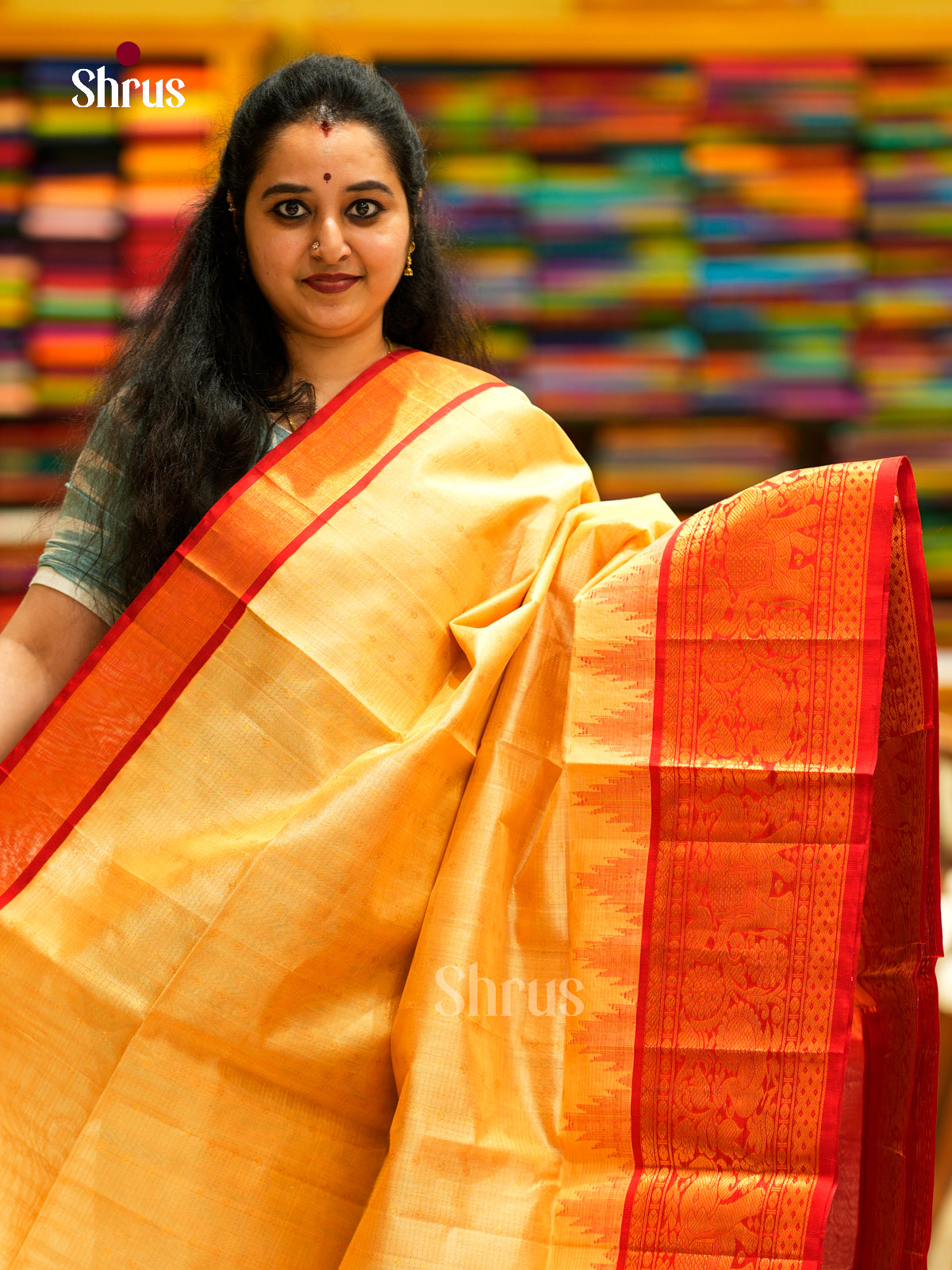 Silk Cotton Saree - EDS29016 - Shop on Shrus.com