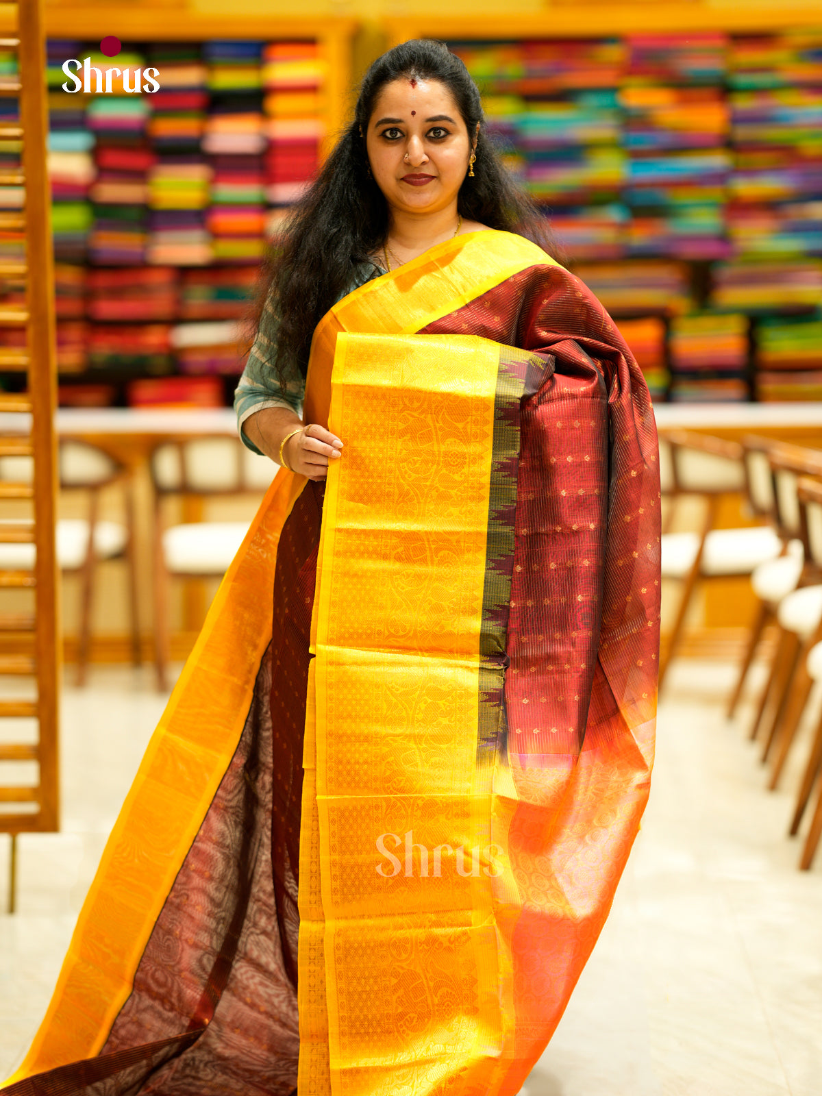 Silk Cotton Saree - EDS29017 - Shop on Shrus.com