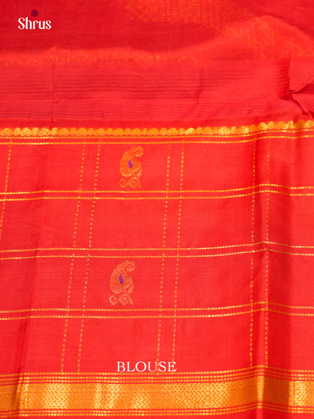 Silk Cotton Saree - EDS29018 - Shop on Shrus.com
