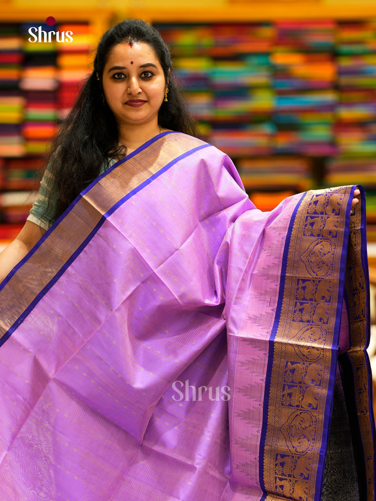 Silk Cotton Saree - EDS29024 - Shop on Shrus.com