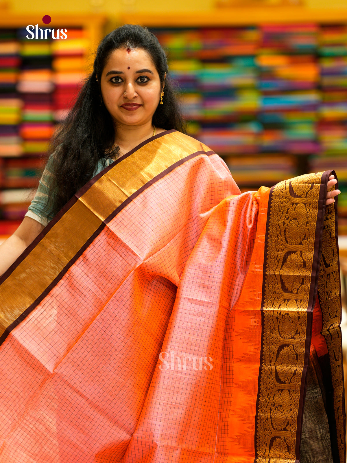 Silk Cotton Saree - EDS29026 - Shop on Shrus.com