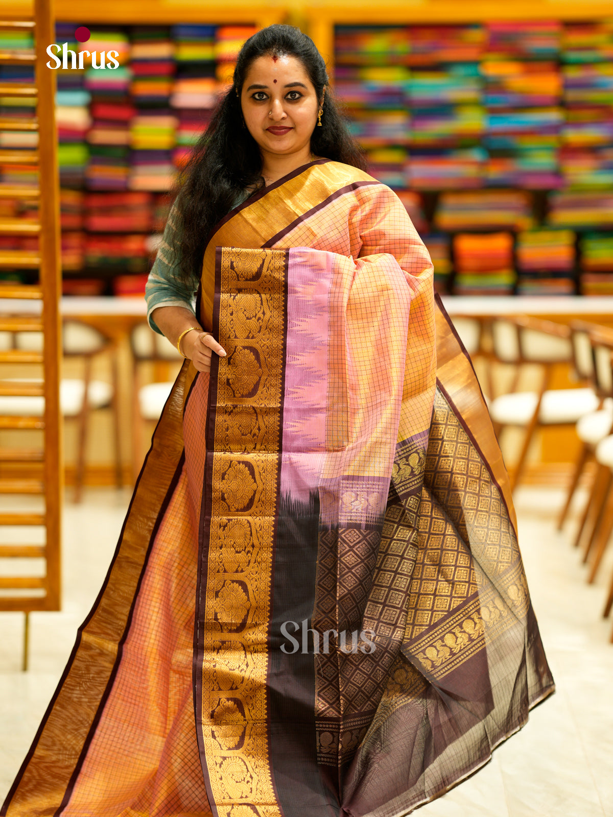 Silk Cotton Saree - EDS29027 - Shop on Shrus.com