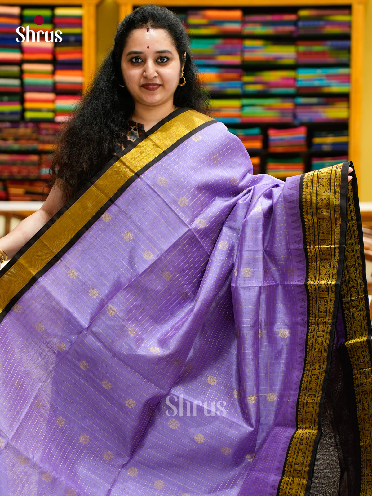 Silk Cotton Saree - EES04011