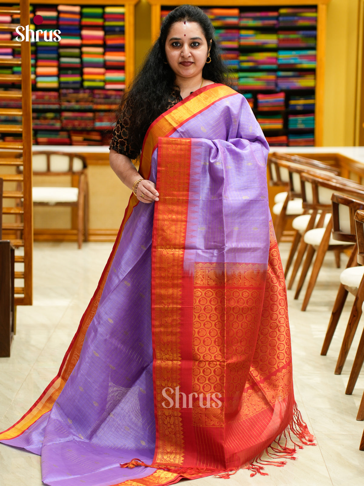 Silk Cotton Saree - EES04012