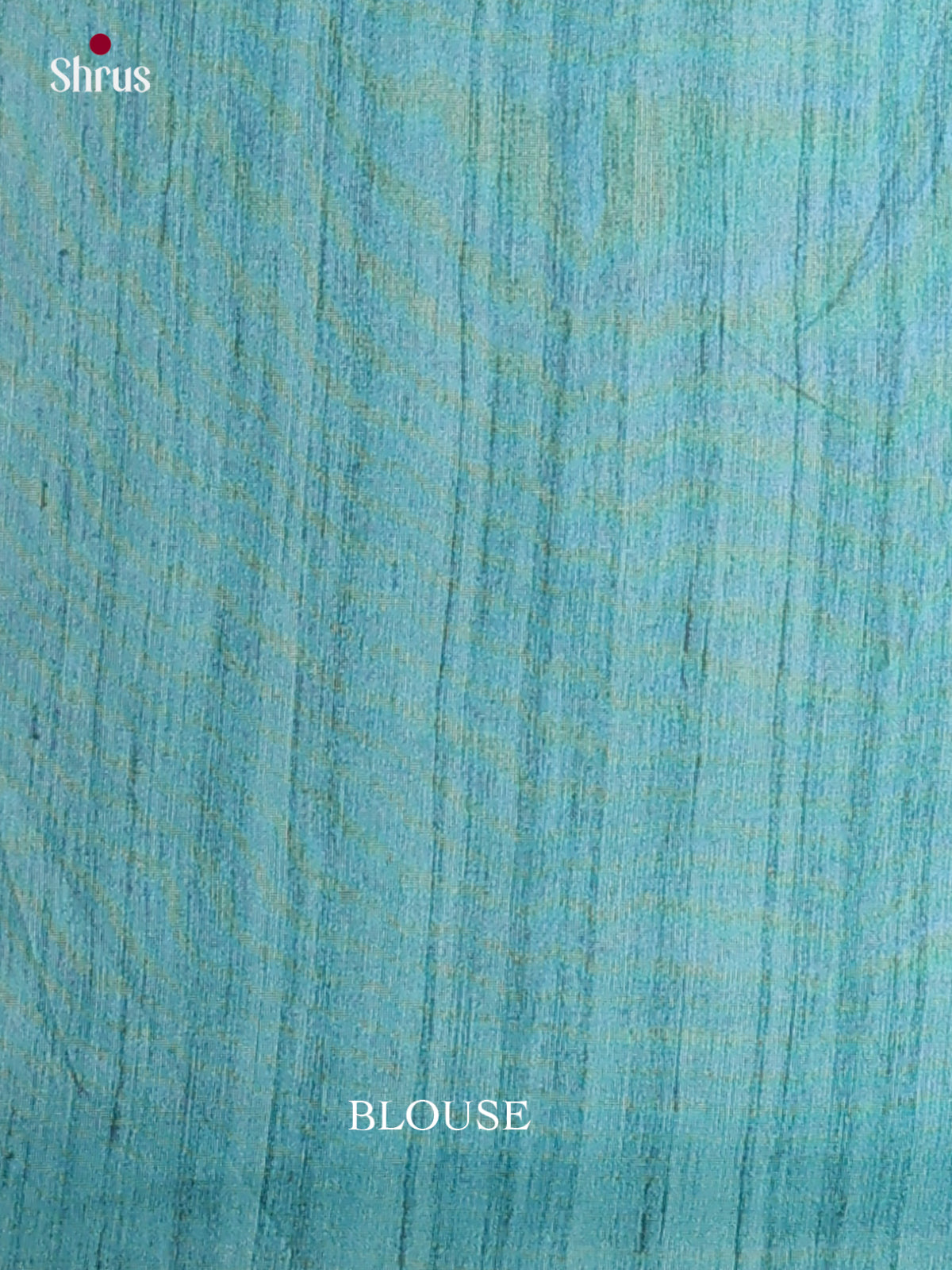 Printed Madhubani Saree - EES12056