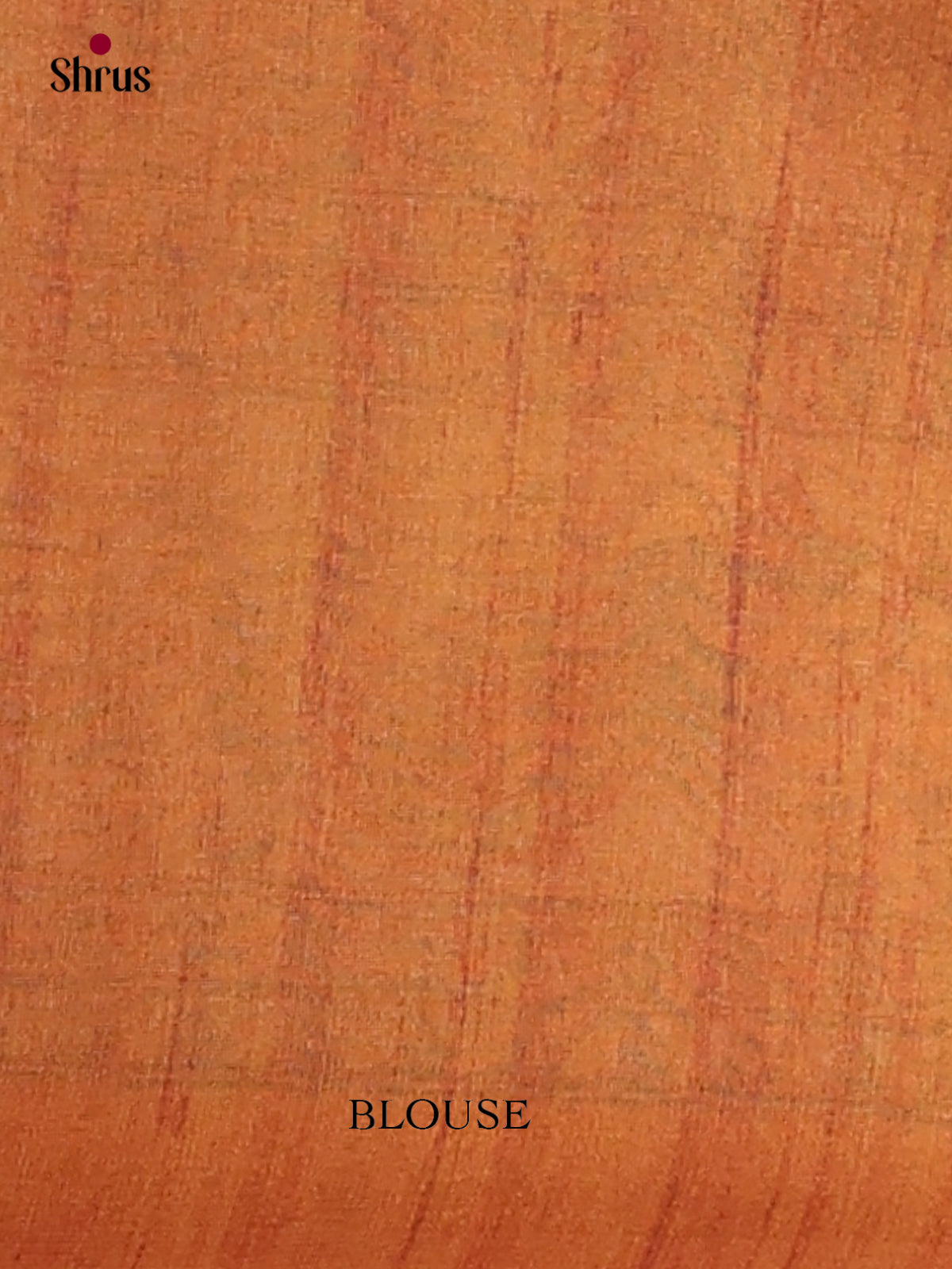 Printed Madhubani Saree - EES12066 - Shop on Shrus.com