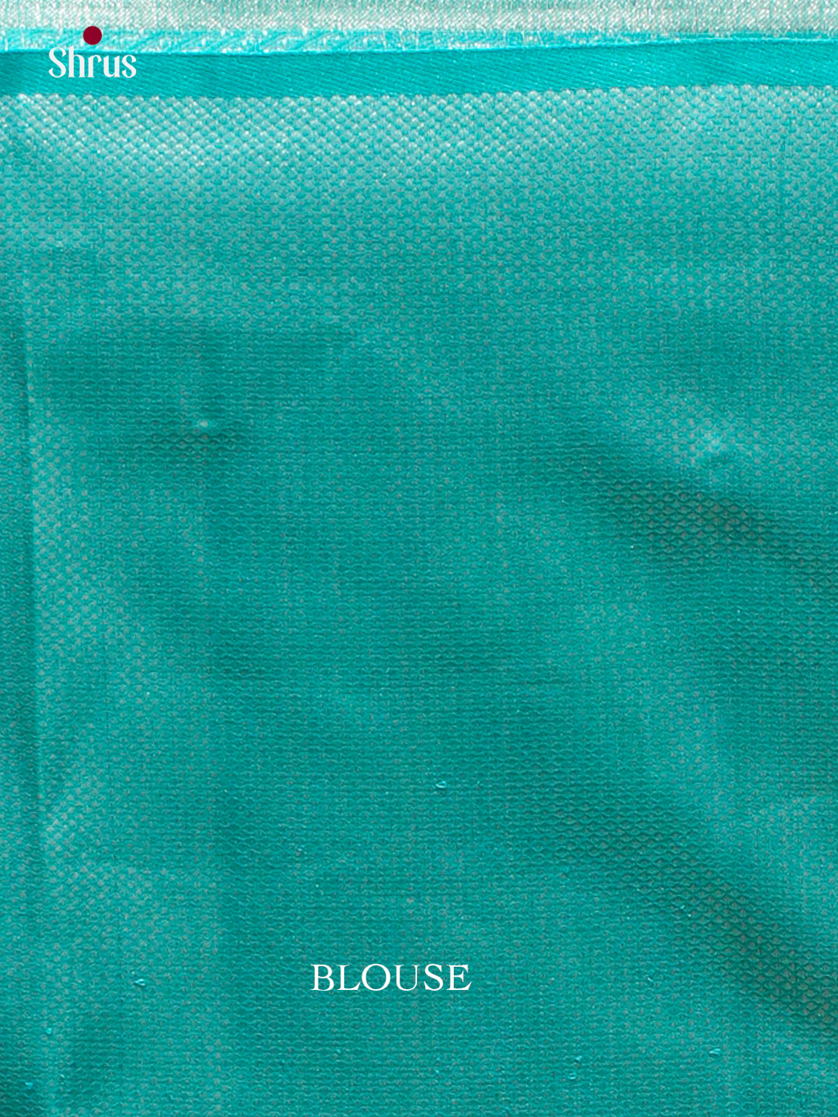 Kanchipuram silk Saree - EES12197 - Shop on Shrus.com