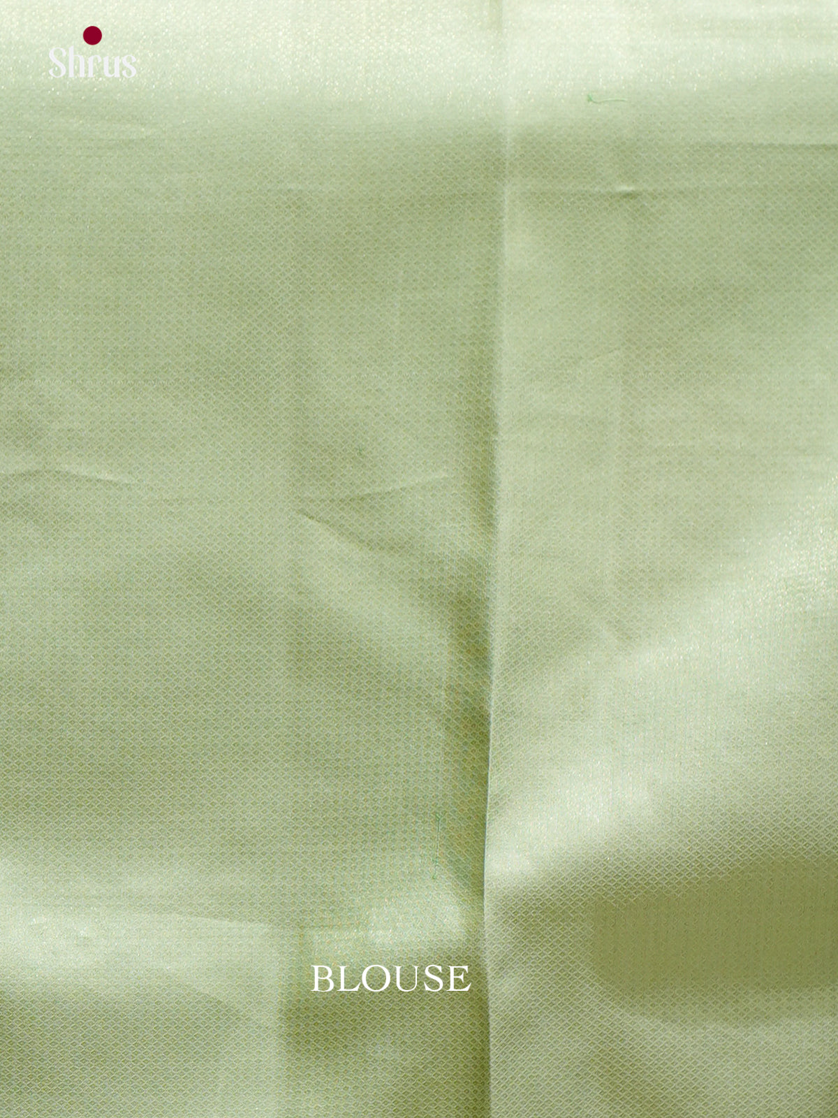 Kanchipuram silk Saree - EES12199 - Shop on Shrus.com