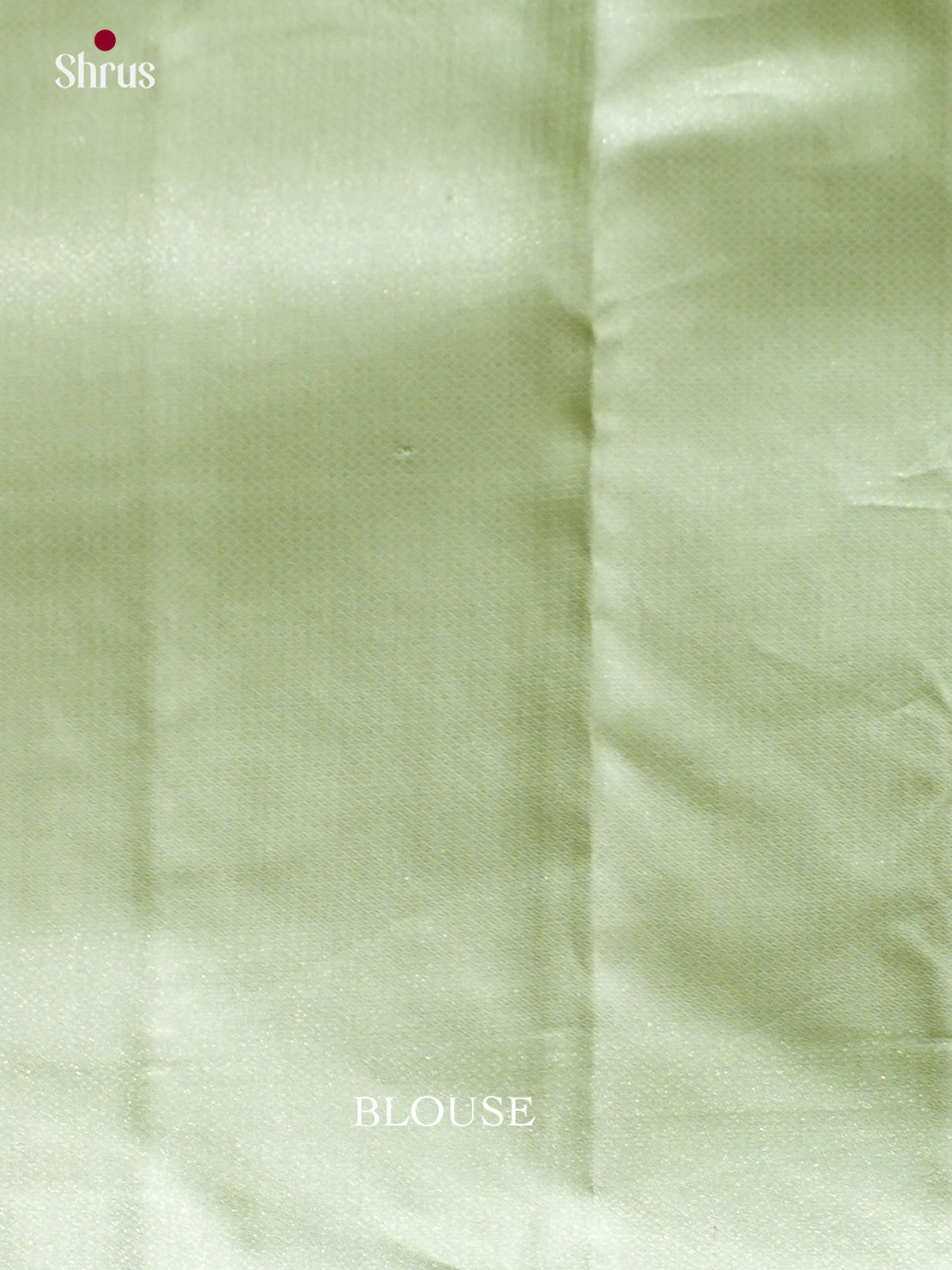 Kanchipuram silk Saree - EES12205 - Shop on Shrus.com