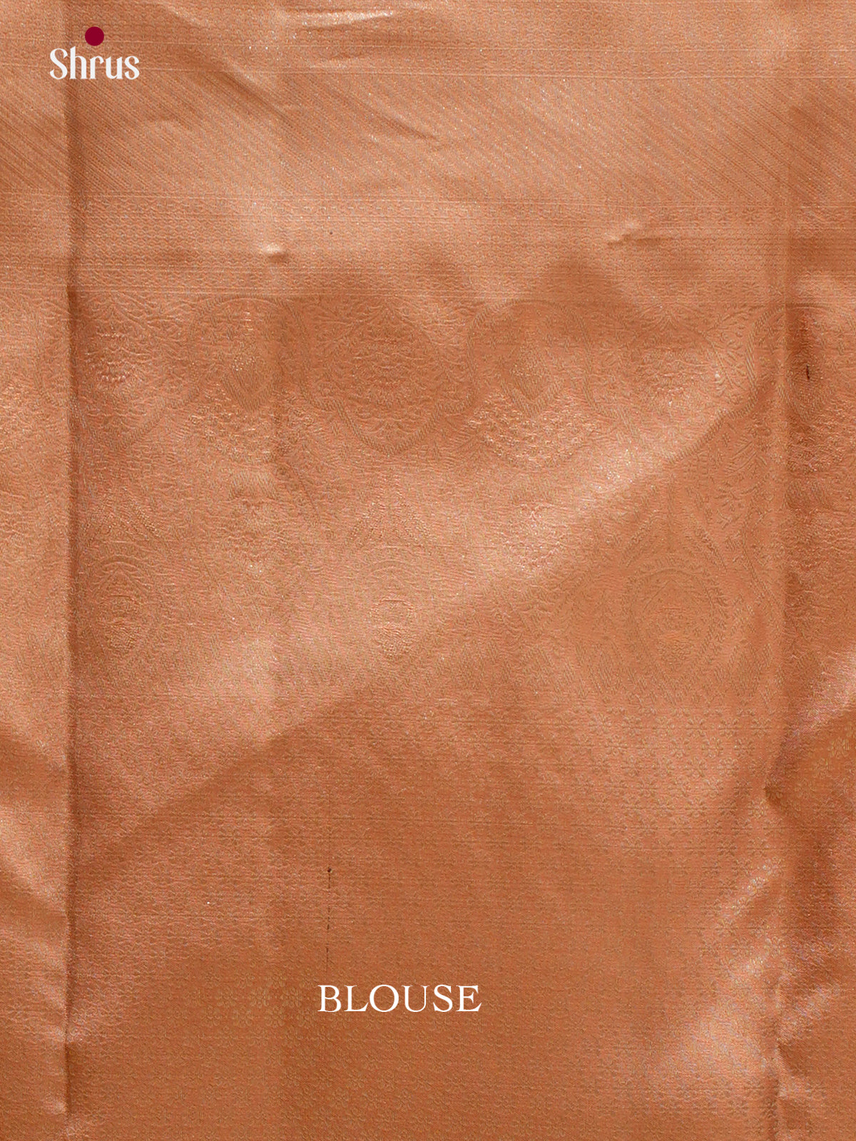 Kanchipuram silk Saree - EES12218 - Shop on Shrus.com