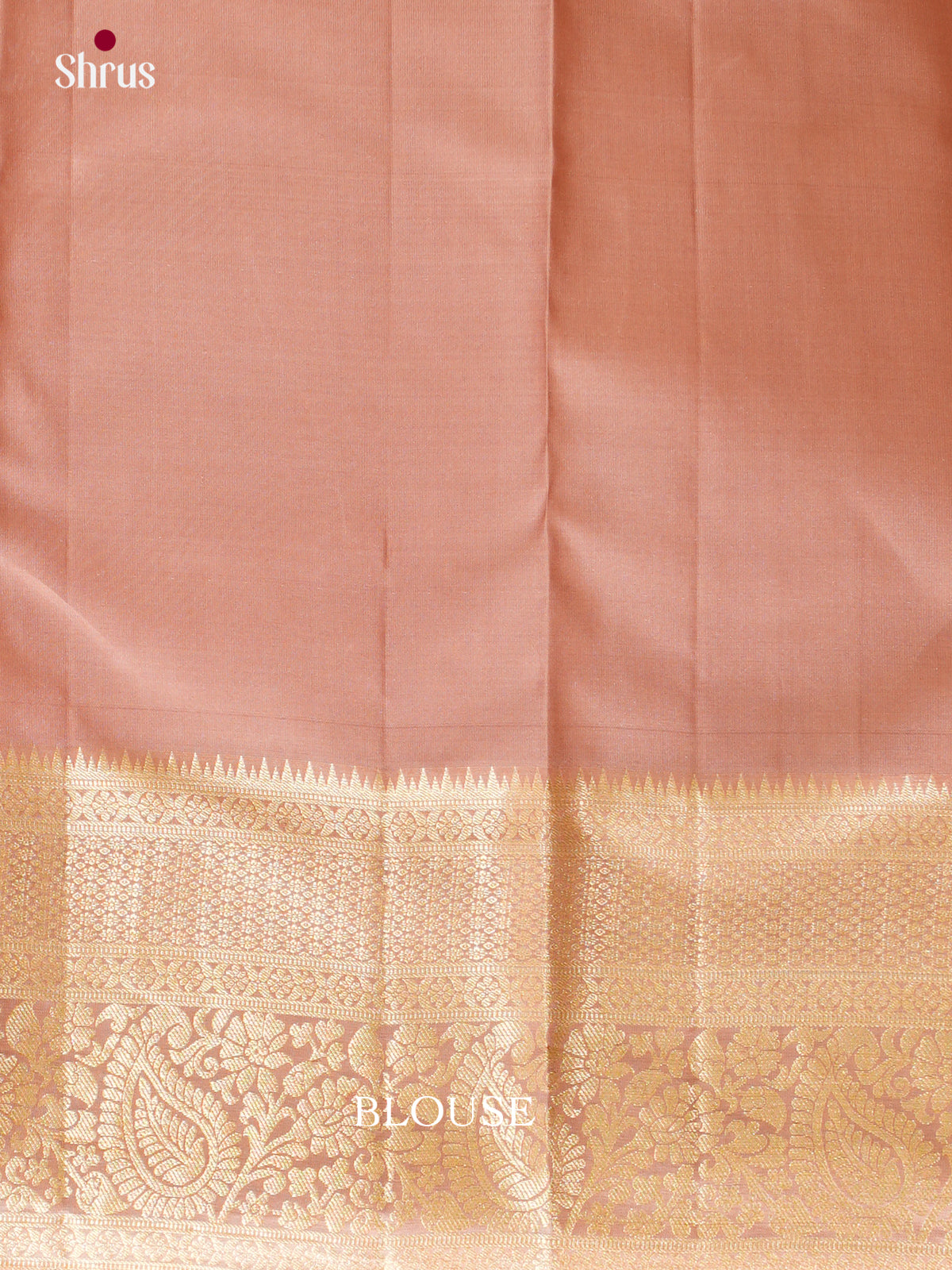 Kanchipuram silk Saree - EES12242 - Shop on Shrus.com
